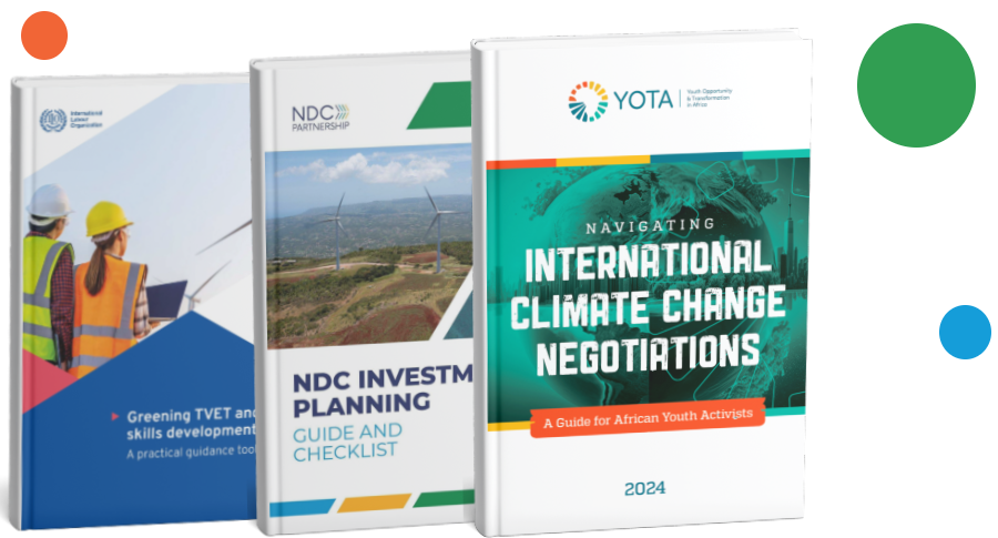 Africa Youth Partnership - Youth Lead Change in Global Climate Issues