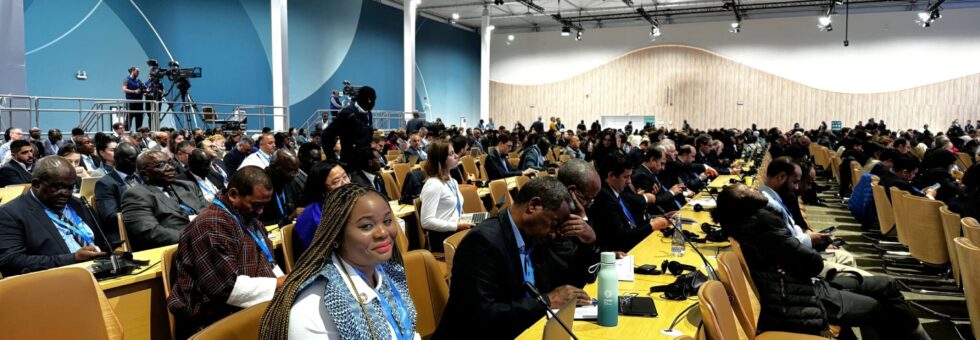 Photo Lyzianah at COP29 , Azerbaijan